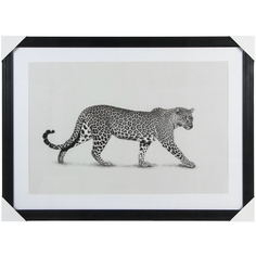Картина Intco леопард 50x70 см в ассортименте