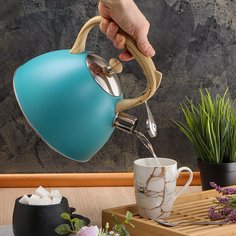 Чайник нержавеющая сталь, 3 л, со свистком, матовый, ручка с силиконовым покрытием, Daniks, индукция, голубой, MSY-079B