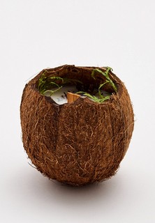 Свеча ароматическая Diego Ferru "Bounty" в кокосе, большая новогодняя, 300 мл