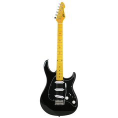 Raptor Custom BLK Peavey
