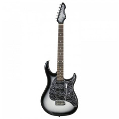 Raptor Custom SLB Peavey