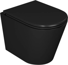 Подвесной безободковый унитаз с сиденьем микролифт D&K Venice DT1026025