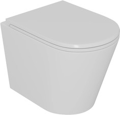 Подвесной безободковый унитаз с сиденьем микролифт D&K Venice DT1026016