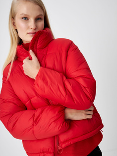 Базовая куртка (красный, XL) Sela