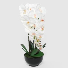 Цветок искусственный Fuzhou Light в горшке орхидея белая 4 цветка 62 см