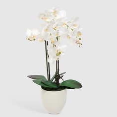 Цветок искусственный Fuzhou Light в горшке орхидея белая 58 см