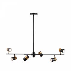 Люстра Подвесная люстра Freya Enzo FR5201PL-06B