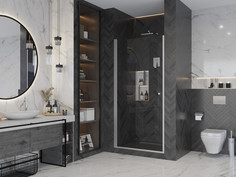 Душевая дверь 80 см Ambassador Elysium 111011109CX прозрачное