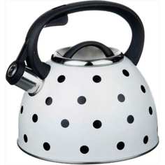 Чайник Union Юнион