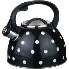 Чайник Union Юнион