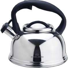 Чайник Union Юнион