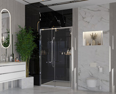 Душевая дверь 120 см Ambassador Intense 110021101IX прозрачное