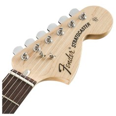 ALBERT HAMMOND JR STRAT MN OWT Fender