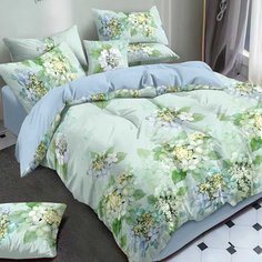 Постельное белье евростандарт, простыня 200х220 см, 2 наволочки 70х70 см, пододеяльник 200х220 см, Адель, поплин, Медитация