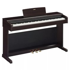 YDP-145R, без адаптера Yamaha