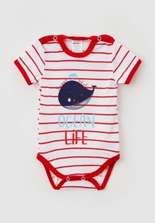 Боди КотМарКот 