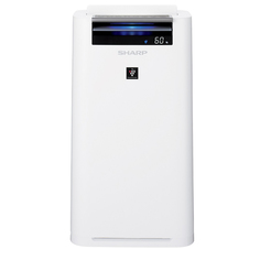 Климатический комплекс Sharp KC-G51RW