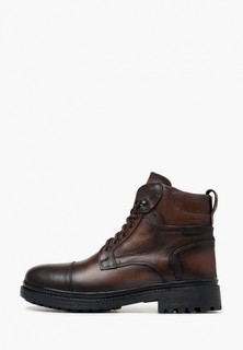 Ботинки Alessio Nesca 