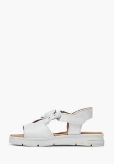 Сандалии Alessio Nesca 