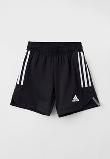 Шорты спортивные adidas CON22 MD SHO Y