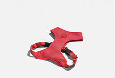 Шлейка Zee.Dog