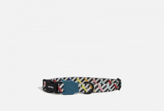 Ошейник, мультиколор Zee.Dog