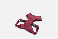 Шлейка Zee.Dog