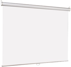 Экран настенный Lumien Eco Picture LEP-100117 142х200