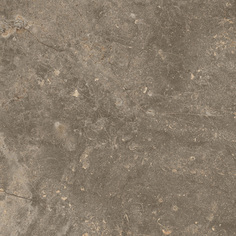 Плитка ColiseumGres Червиния Земля 610010001441 45x45 см