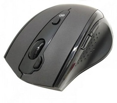 Мышь Wireless A4Tech G10-810F
