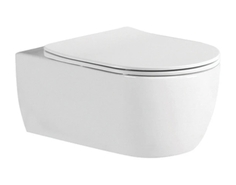 Унитаз подвесной Акватек Европа AQ1106L-00 безободковый с сидением микролифт