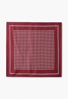 Платок Dispacci 