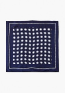 Платок Dispacci 