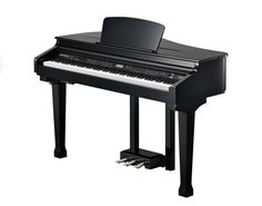 KAG100 BP Kurzweil