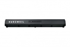 KP110 Kurzweil