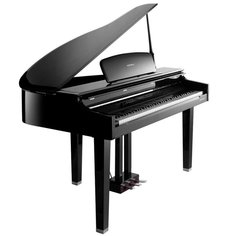 MPG200 Kurzweil