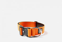 Ошейник для собак Bullybillows