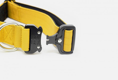 Ошейник для собак Bullybillows