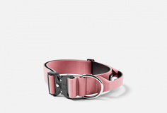 Ошейник для собак Bullybillows