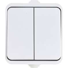 Двухклавишный выключатель IN HOME