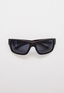Очки солнцезащитные Brenda BS9005 C6 mat demi-smoke, с поляризационными линзами