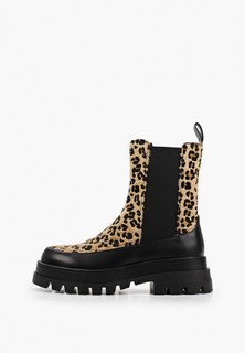 Ботинки Vivian Royal 