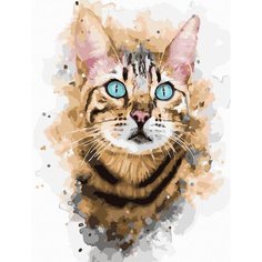 Картина по номерам Molly Бразильская кошка, цветной холст, 24 цвета, 30 х 40 см