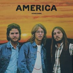 Виниловая пластинка America – Homecoming LP American Apparel
