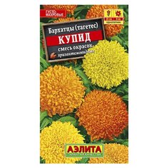 Семена Цветы, Бархатцы, Купид хризантемовидные, 0.3 г, цветная упаковка, Аэлита