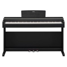 YDP-145B, без адаптера Yamaha