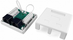Розетка Hyperline SB1-2-8P8C-C5e-WH RJ-45(8P8C), категория 5e, двойная, внешняя, Dual IDC