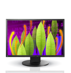 Монитор 22" Eizo FlexScan EV2216WFS 1680x1050, 5 мс, 250 кд/м2, 1000:1, 170°/160°, DVI-D (HDCP), DisplayPort, VGA, USB*2, Pivot