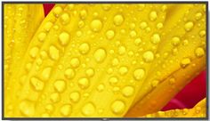 Панель LCD 50 NEC ME501 3840x2160, 400 кд/м2, 8000:1, 8 мс, UHD, D-LED backlight, 18/7 proof, SDM Slot, CM-Slot
