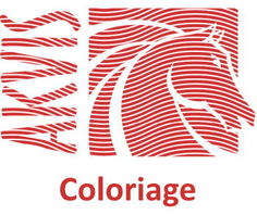 Право на использование (электронно) Akvis Coloriage Home Plugin